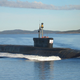 Image for article titled Why A Russian Super-Radioactive Atomic Torpedo Isn’t The News You Think It Is